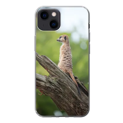 Produktbild von MuchoWow® Handyhülle Schutzhülle Hülle für iPhone 13 Erdmännchen - Ast - Baum Silikon Softcase Handy Hülle - Karteninhaber