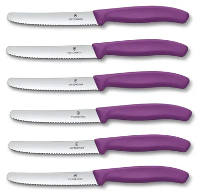 Produktbild von Victorinox Swiss Classic, Frühstücksmesser, Brötchenmesser Set 6teilig, Scharfe Klinge, Wellenschliff, 11 cm, Rostfreier Stahl, Violett
