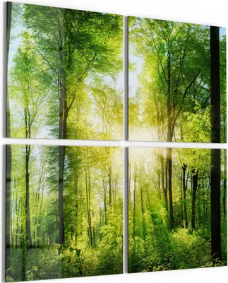 Produktbild von DEQORI Glasbild Echtglas 4x50x50 cm 'Sonne durchbricht Wald' Wandbilder XXL groß