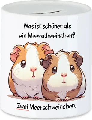 Produktbild von Was ist schöner als ein Meerschweinchen Spardose Meerschweinchen-Besitzer Haustier