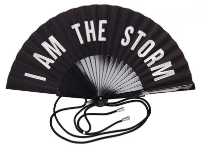 Produktbild von Fififan, Fächer, 23cm, Motiv: I am the Storm, schw