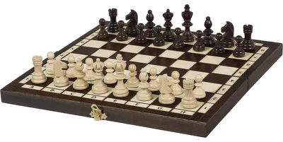 Produktbild von Olympisches Schach (36X36Cm)