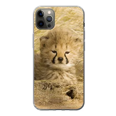 Produktbild von MuchoWow® Handyhülle Schutzhülle Hülle für iPhone 13 Pro Max Gepard - Jung - Gras Silikon Softcase Handy Hülle - Mobiltelefon