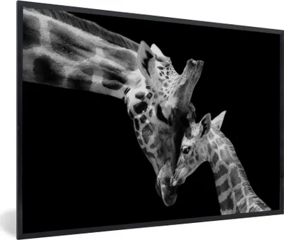 Produktbild von MuchoWow® Gerahmtes Poster Giraffe - Wildtiere - Porträt - Schwarz-Weiß 30x20 cm - Poster mit Schwarzem Bilderrahmen Wandposter Rahmen Foto Bilder - Kunstdruck - Bild-Poster