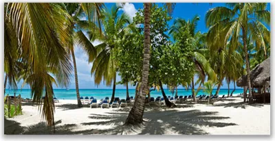 Produktbild von Tulup Leinwand-Bilder 120x60 Wandbild Canvas Kunstdruck Strand Palmen Landschaft