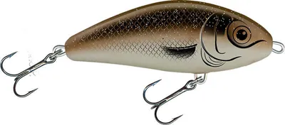 Image de Salmo Fatso Wobbler 10 cm 48 g flottant Arkansas