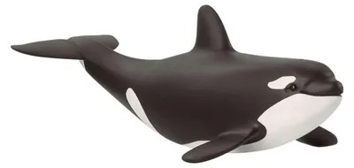 Zdjęcie produktu dla schleich WILD LIFE 14836, 3 lat(a), Ice & Ocean, Wild animals / adventure toys, Wielobarwny, Plastik, 1 szt.