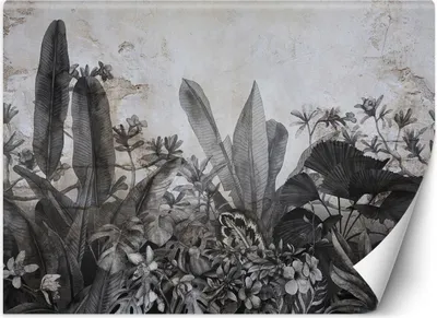 Produktbild von Vlies fototapete Schwarze und weiße tropische Blätter auf Betonhintergrund 300x210 cm Feeby Grau inkl. Kleber einfache Montage
