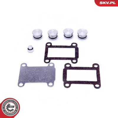 Produktbild von ESEN SKV 49SKV527 Reparatursatz, Ansaugkrümmermodul x