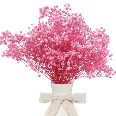 Getrocknete rosa Schleierkraut-Blumen, 37-38 cm, für Deko & Basteln