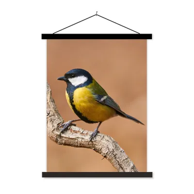 Produktbild von MuchoWow® Textilposter Vogel - Kohlmeise - Zweige 40x53 cm mit schwarzem Rahmen - Abbildung