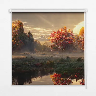 Produktbild von Seitenzug-Rollo Fensterrollo Jalousie - Thermo-Rollo Verdunkelungsrollo - 150x180 cm - Sonnenuntergang hinter den Bäumen