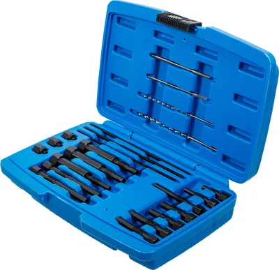 Immagine prodotto di BGS 8698 | Set di smontaggio per elettrodi di candelette rotti | M8 / M10