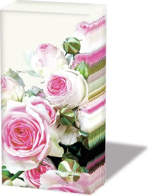 Produktbild von Taschentücher  21,5 x 22 cm – 4-lagig – á 10 Stück pro Packung