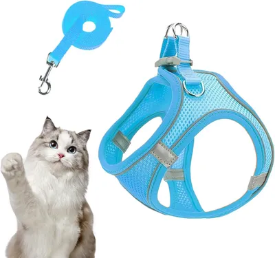 Produktbild von Hundegeschirr und Leinen-Set - Anti-Zug Geschirr mit Leine, ausbruchsicher für Welpen und Katzen, mit reflektierenden Gurten für Wanderungen und Outdoor-Aktivitäten