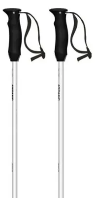 Obrázek produktu pro Atomic Revent Lite, hůlky, stříbrná barva, 120 cm