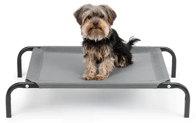 Immagine prodotto di lettino per cani lionto, comodo letto per cani da esterno con tessuto a rete, rialzato, arioso e resistente alle intemperie, 75x47 cm, grigio