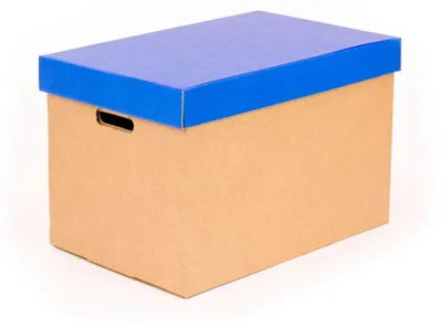 Aufbewahrungsboxen mit Deckel, Karton, 53,2x33,1x32,5 cm, 2 St.