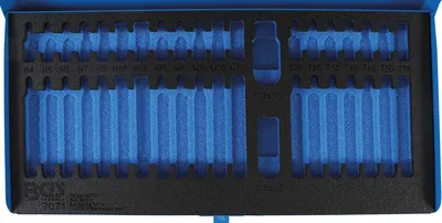 Immagine prodotto di Cassetta vuota in metallo BGS per articolo 7071 - 7071-LEER