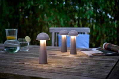 Produktbild von Northpoint Moderne LED Tischleuchte in Pilzform im 3er-Set  für den Innen- und Außenbereich stufenlos dimmbar USB-Ladung CCT Farbwechsel Pilz taupe