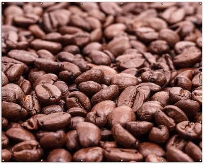 Produktbild von Wallario XXL Outdoor-Poster für Garten oder Balkon, Motiv Frisch geröstete Kaffeebohnen, in ca. 250 x 200 cm