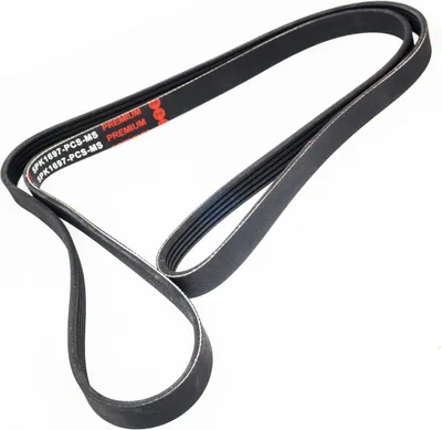 Produktbild von MASTER-SPORT Keilrippenriemen 1697mm für HYUNDAI TERRACAN (HP) 5PK1697-PCS-MS