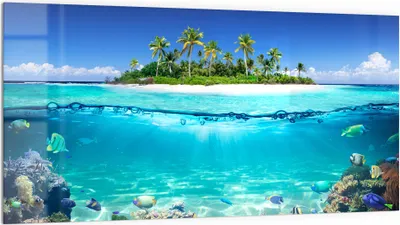 Produktbild von DEQORI Küchenrückwand Glas 100x50 cm 'Insel im tropischen Meer' Spritzschutz Bad Rückwand