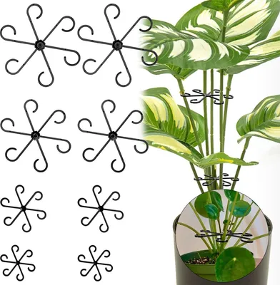 Produktbild von 2er-Set transparente Pflanzenstützen für Monstera & Kletterpflanzen, 4 Größen, stabilisierend und flexibel
