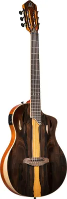 Produktbild von ORTEGA RTP-LTD TourPlayer