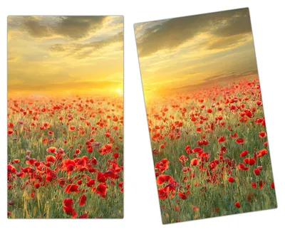 Produktbild von Spritzschutz Herdabdeckplatte Schneidebrett aus Glas Sonnenuntergang 2-Teilig (60x52cm)