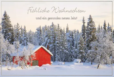 Produktbild von Weihnachten unverpackte Weihnachtskarten mit Briefumschlag Winterlandschaft Wald