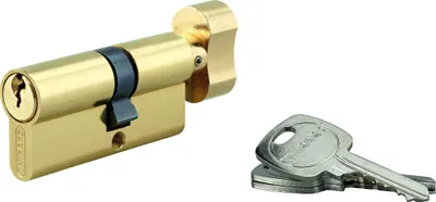 Image de Cylindre STD à bouton 45B x 45 mm anti-arrachement, laiton, 3 clés - THIRARD