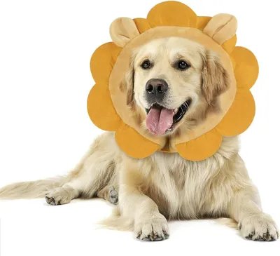 Produktbild von Aufblasbare Halskrause Hund L Braun Löwe Leckschutz nach Operation