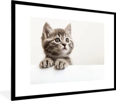 Produktbild von MuchoWow® Gerahmtes Poster Katze - Grau - Tiere 80x60 cm - Poster mit Schwarzem Bilderrahmen Wandposter Rahmen Foto Bilder - Schlafzimmer-Dekorationen - Fotoposter
