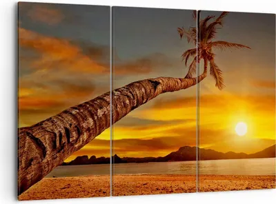 Produktbild von Bild auf Leinwand - Leinwandbild - Palme Landschaft Sonne - 105x70cm - Wand Bild - Wanddeko - Leinwanddruck - Bilder - Kunstdruck - Wanddekoration - Leinwand bilder - Wandkunst - CE105x70-0162