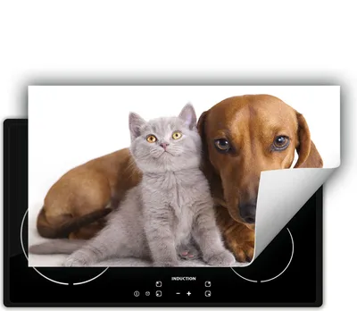 Produktbild von DarHaus Herdabdeckplatte 90x52 cm Anti Rutsch Matte Aufrollbar, Katze und Hund
