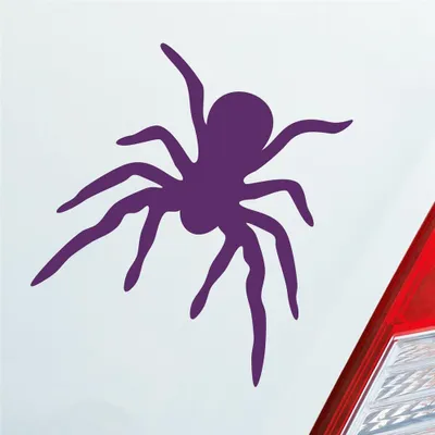 Produktbild von Auto Aufkleber Spinne Spider giftig Tier Ekel 10x10,5 cm Lila Sticker Heckscheibenaufkleber