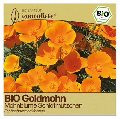 Produktbild von Samenliebe  Mohnblume Samen | Schlafmützchen - gold - samenfestes  Saatgut
