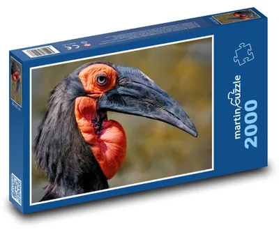 Obrázok produktu pre martinpuzzle - Puzzle 2000 - Nosorožec - vták