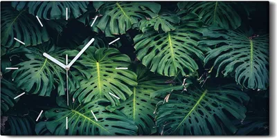 Produktbild von Wandkunst Leinwand Bild Uhr Geräuschlos Kunstdruck 60x30 Blumen Monstera Blatt - weiße Hände