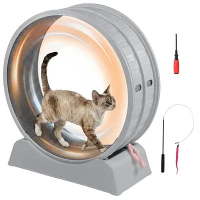 Produktbild von FCH Katzenlaufrad, Laufband für Katzen, Innendurchmesser 80cm, PP-Kunststoff, leise Laufband und Sicherheitsschloss-Design, Grau