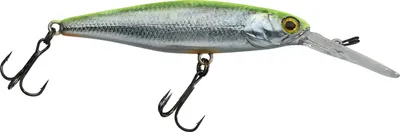 Produktbild von Illex DD Squirrel 67 SP RT Visible Roach