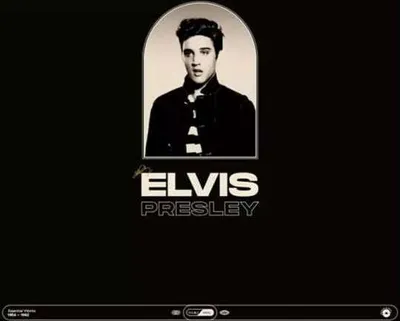 Obrázek produktu pro Elvis Presley (1935-1977): (Vinyl / Rock (Vinyl))
