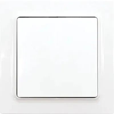 Imagen del producto de Eltako, interruptor inalámbrico F2T55E-wg, color blanco brillante