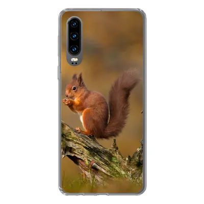 Produktbild von MuchoWow® Handyhülle Schutzhülle Hülle für Huawei P30 Eichhörnchen - Baumstamm - Wald Silikon Softcase Handy Hülle - Kartenbesitzer
