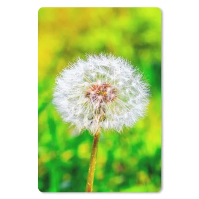 Produktbild von MuchoWow® Mauspad Mousepad Löwenzahn - Gras - Blume 18x27 cm - Mousepads - Maus Mat - Pad - Mausunterlage