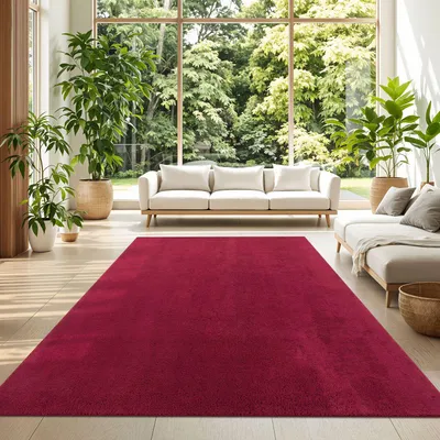 Produktbild von TT Home Wohnzimmer Teppich Kurzflor Anti-Rutsch Rückseite Unifarben Modern Waschbar Größe 240x340 cm
