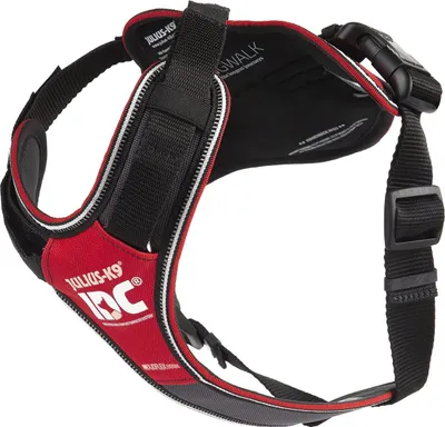 Immagine prodotto di Julius-K9 Pettorina imbottita per cani IDC Longwalk rosso/grigio, taglia: XS