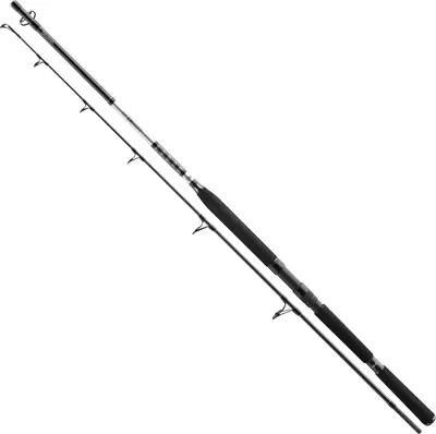 Produktbild von Daiwa BG Popper 2,30m 40-150g Meeres-Spinnrute
