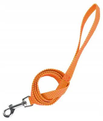 Produktbild von Nobleza 6219 Gepunktete Bandleine für Hunde Katzen 120 cm